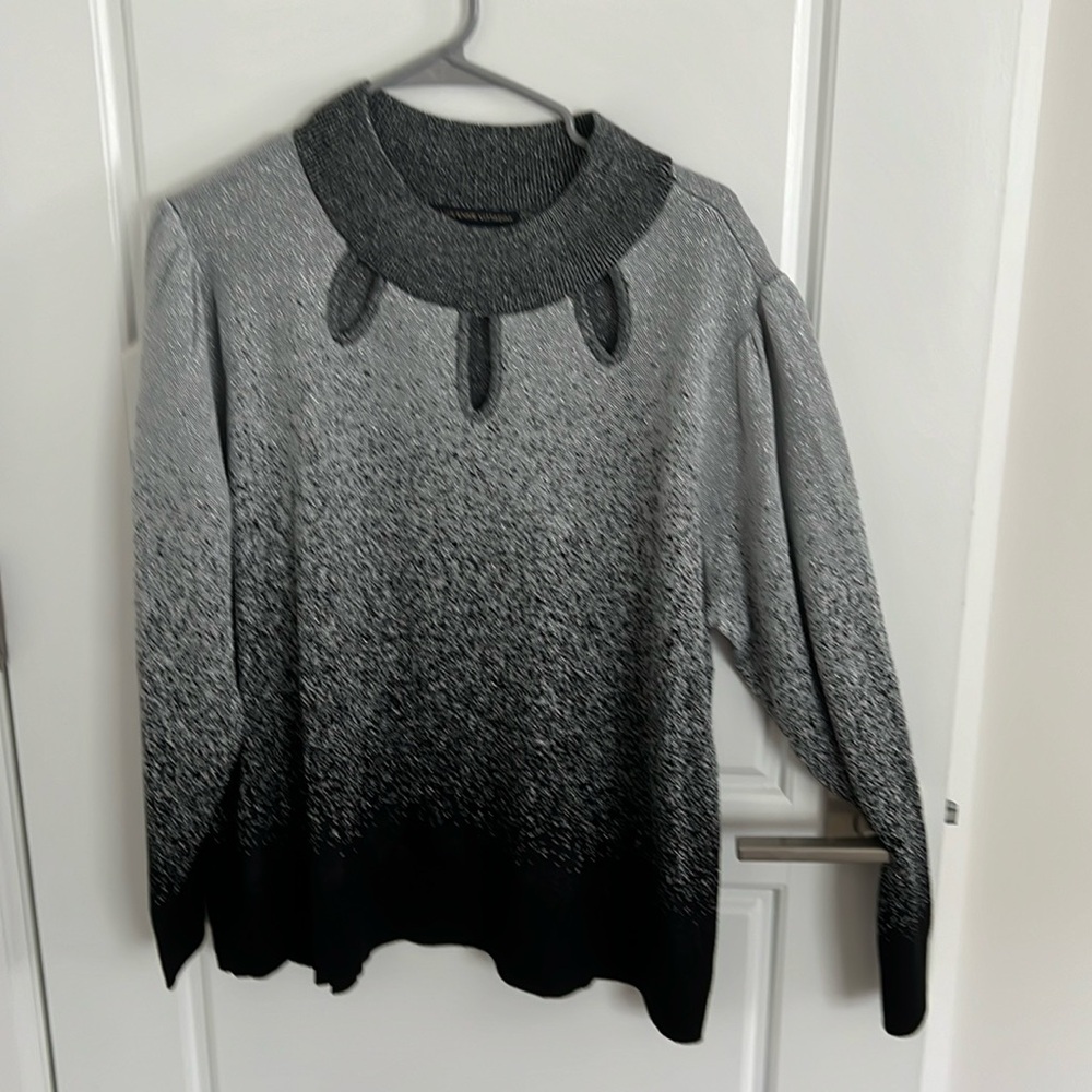 Adrienne Vittadini sweater